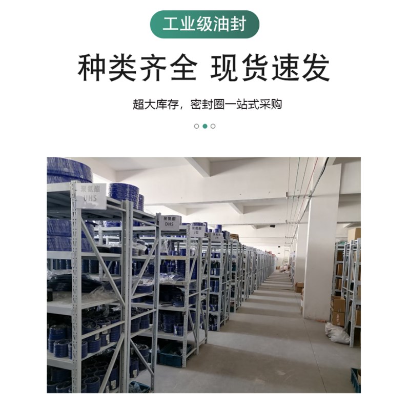 氟胶J型/FA/JA防尘密封圈105/110*115/120*119/124/129/134*8/12