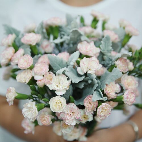 乐作flora鲜花云南直发 花艺师精选top20 多款混搭花材 顺丰包邮