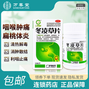 冬凌草片100片治慢性咽喉炎专用药喉咙有痰异物感嗓子疼口腔炎xf