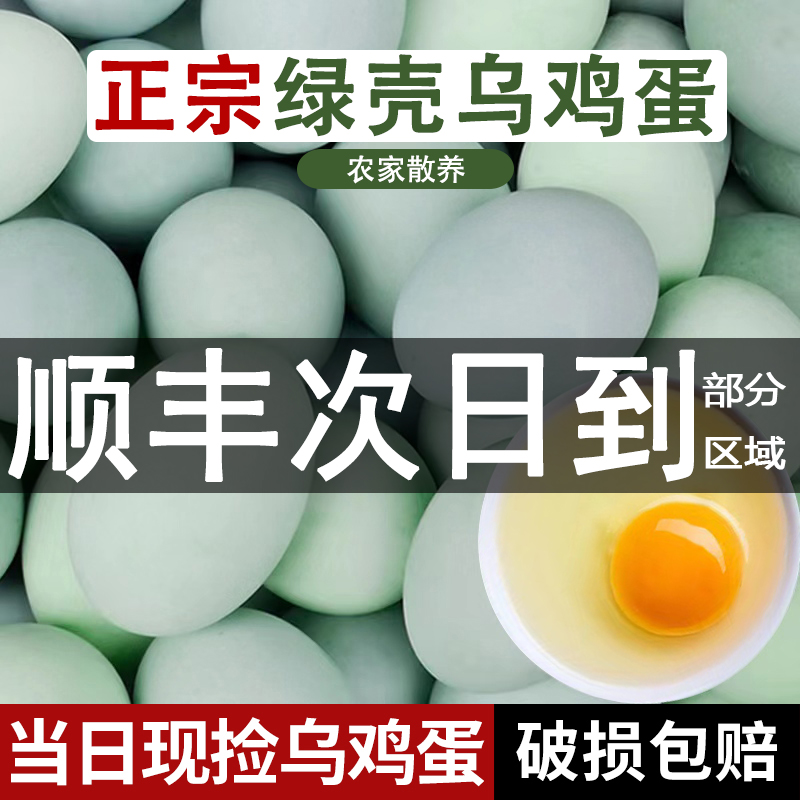 乌鸡蛋正宗农家散养新鲜绿壳农村草鸡蛋40枚无菌绿皮土鸡蛋柴鸡蛋 水产肉类/新鲜蔬果/熟食 鸡蛋 原图主图