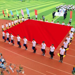 大红旗定制超大国旗定做特大号运动会大旗公司旗宽幅巨幅五星红旗