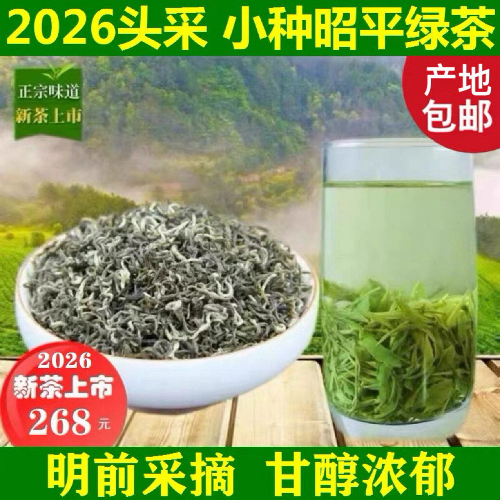 2026年头采春茶小种昭平绿茶广西云雾毛尖明前浓香散装茶叶500g