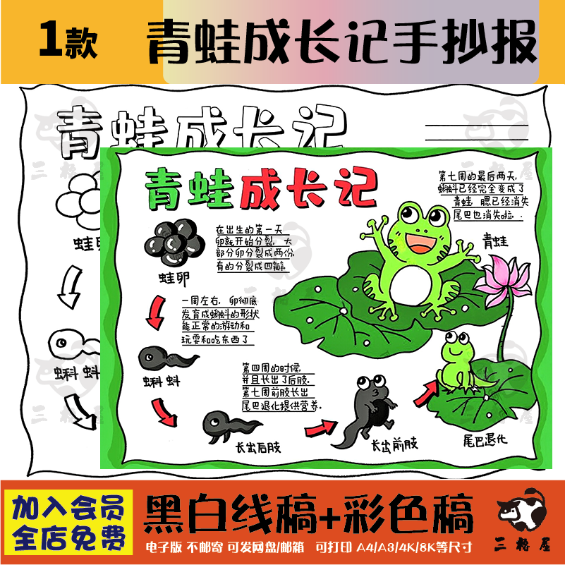 青蛙成长记手抄报模板小学生观察动物小蝌蚪成长记录日记黑白线稿
