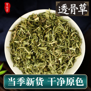 正品透骨草中药材500g非野生新鲜可磨透骨草粉珍珠透骨草中药泡脚