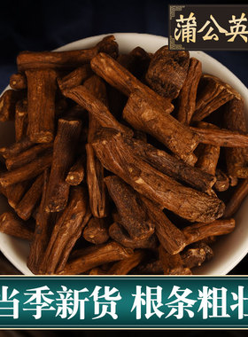 正品蒲公英根泡茶浦公根婆婆丁通女性非野生整根簿