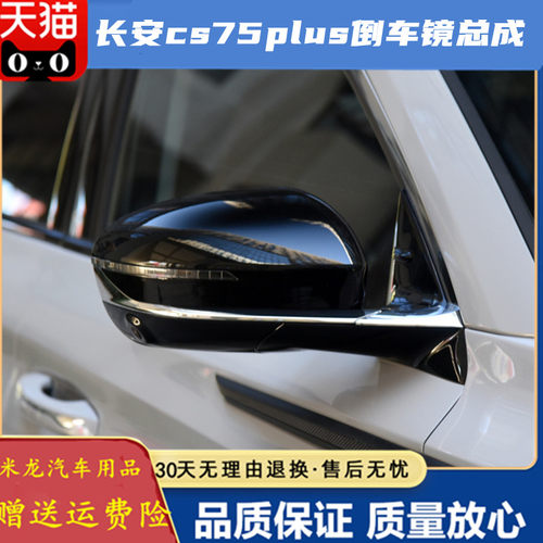 倒车镜反光镜倒车镜总成世帅