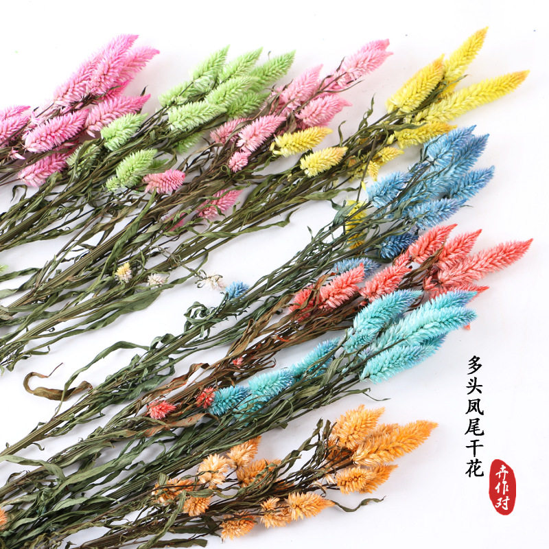 干花多头凤尾束满天星勿