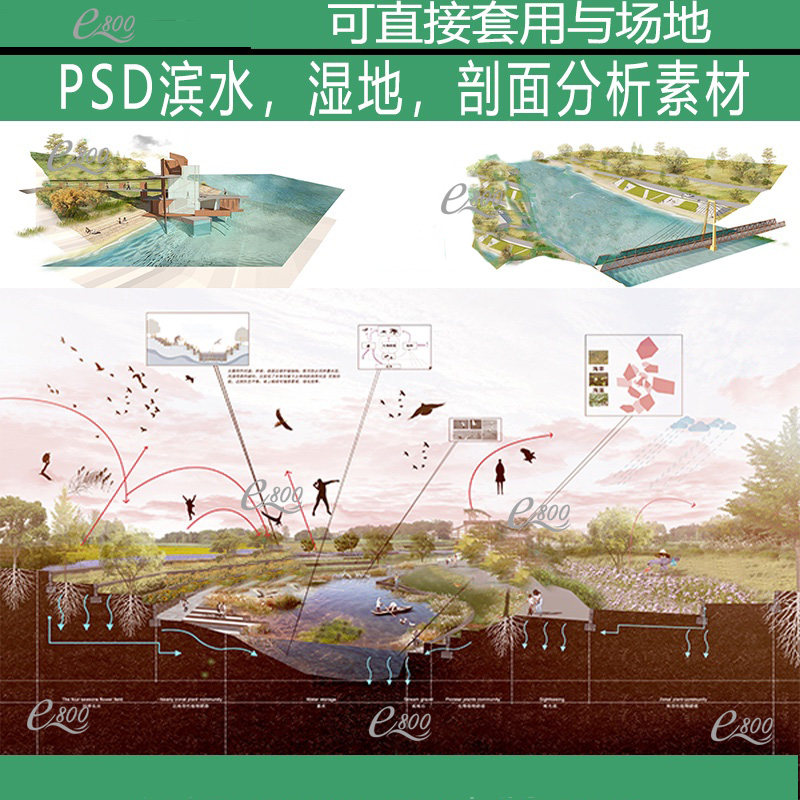 景观ps剖面图分析图psd素材湿地小清新竞赛风效果图前期分析