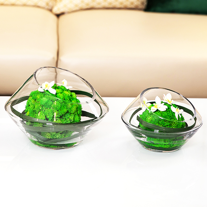 ins风斜口玻璃花器插花器水养