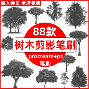 ps笔刷procreate笔刷树木剪影大树茂盛树林树荫阴影剪影树叶树干