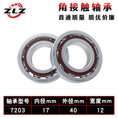 7204轴承7200 7201 7202 7203主轴7205配对7206丝杠7207AC角接触