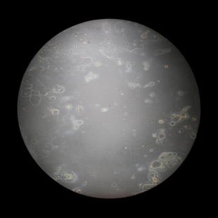 【孤品 一物一图】非遗名师砚台作品/满天星斗/手工雕刻制作天然金星金晕原石歙砚砚台高档老坑收藏