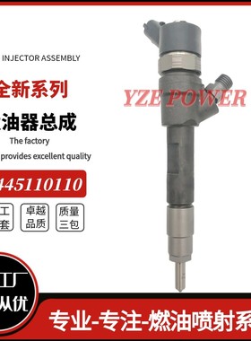 0445110110 0445110145 8201408742 Injector 喷油器 雷喏