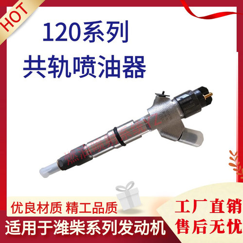 适用潍柴WP10 WP12发动机喷油器油嘴0445120170 213 214 224 新品