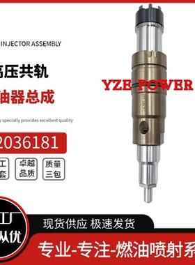 2036181 XPI 喷油器总成用于 CK系列卡车 DI13发动机高品质货源