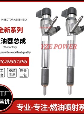 A2C59507596喷油器166006212R 166006526R全新