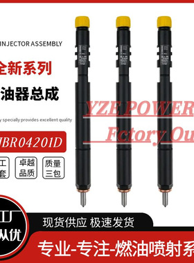 EJBR04201D 喷油器总成 A6460700987带油量修正码 优质货源稳定