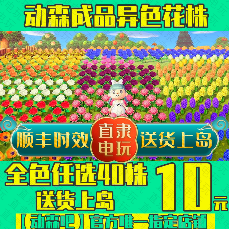 动物之森友会鲜花动森花株杂交成品异色金玫瑰蓝紫粉白风信子铃兰