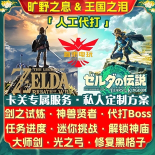 NS2塞尔达传说旷野之息王国之泪代打 剑之试炼180大师剑220光之弓