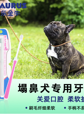 Taurus多乐金牛塌鼻犬不易折断柔软牙刷呵护口腔清理牙齿清新口气