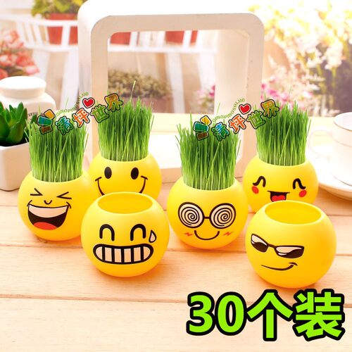 表情草头娃娃diy迷你植物盆栽