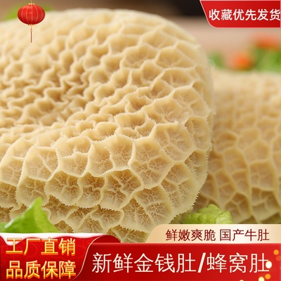 新鲜重庆散养黄牛蜂窝金钱肚