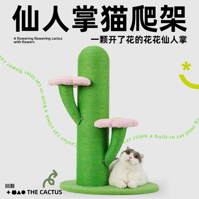 仙人掌树猫爬架剑麻耐抓不掉屑