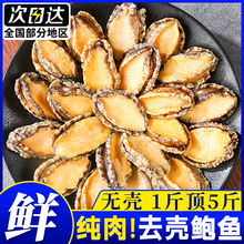 新鲜鲍鱼肉冷冻去壳鲍鱼鲜活去内脏鲍鱼肉海鲜水产特大福建鲍火锅
