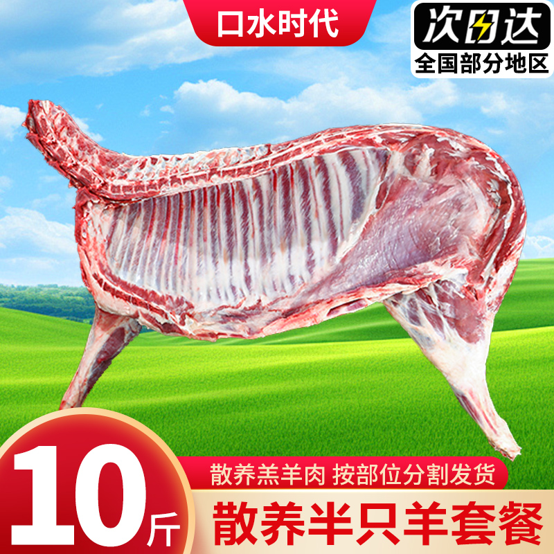10斤内蒙古半只羊新鲜羔羊肉冷冻羊排羊蝎子全羊羊腿烧烤食材