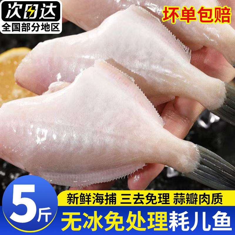 大号耗儿鱼新鲜扒皮鱼鲜活冷冻马面鱼中小号剥皮鱼火锅食材商用