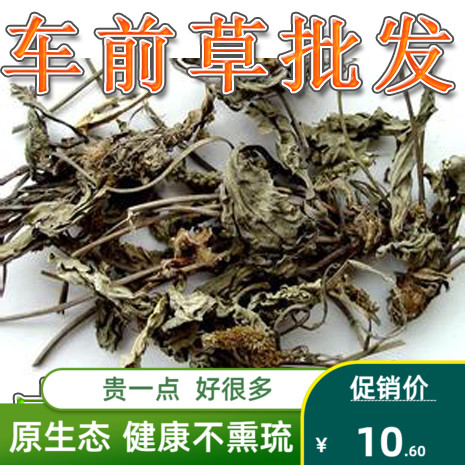 车前草 干 车前草茶 5斤包邮 车轮菜 无硫干净中药材 500g克8元|msdalam kategori makanan berkhasiat tradisional, Ubat-ubatan dan makanan yang boleh dimakan, Lain Perubatan dan Makanan yang boleh dimakan - dari Buy2taobao.com untuk memberikan perkhidmatan ejen Taobao profesional membeli