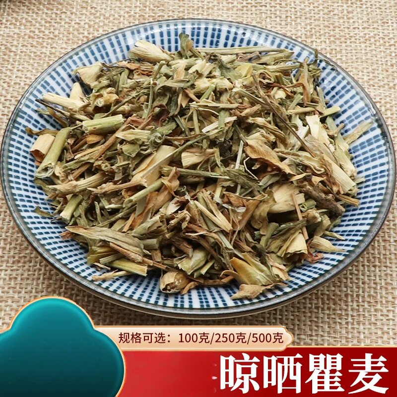 瞿麦新鲜500克石竹子花石柱花巨麦翟麦山瞿麦石竹曲麦十样景花