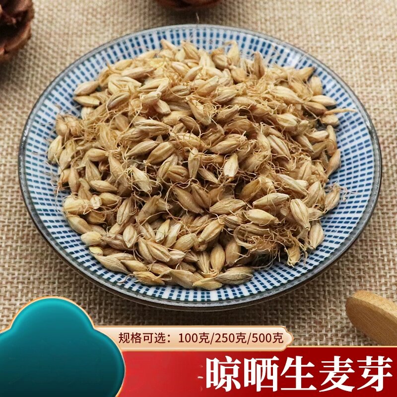 生麦芽大麦芽炒麦芽袋装麦牙大麦牙麦芽茶麦芽粉大麦蘖500g