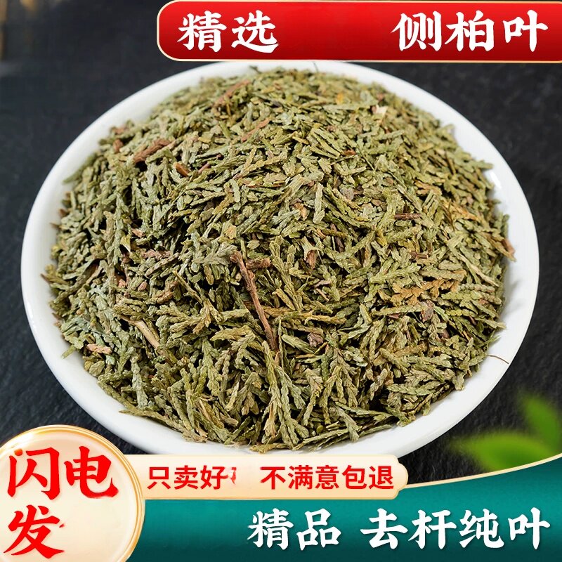 同款侧柏叶500g侧伯叶当季扁柏叶干侧柏叶粉另售皂角何首乌