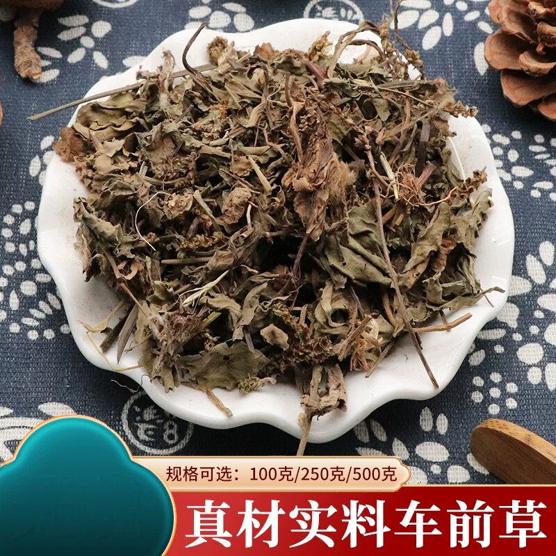 车前草大全干车轮草车轮菜500克车轱辘草车轱辘菜牛舌草当道