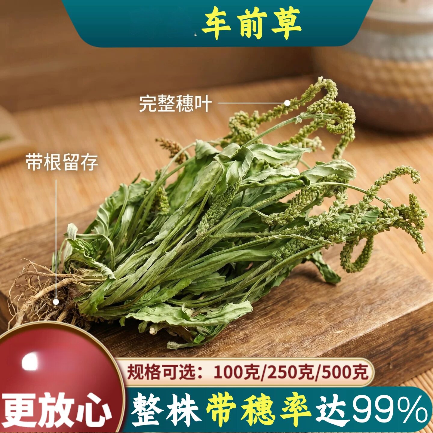 秦岭晾晒整棵车前草500g新鲜青色车前草干泡茶可搭配蒲公英茶