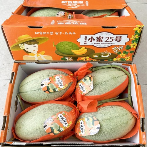 海南小蜜哈密瓜4只礼盒装脆甜