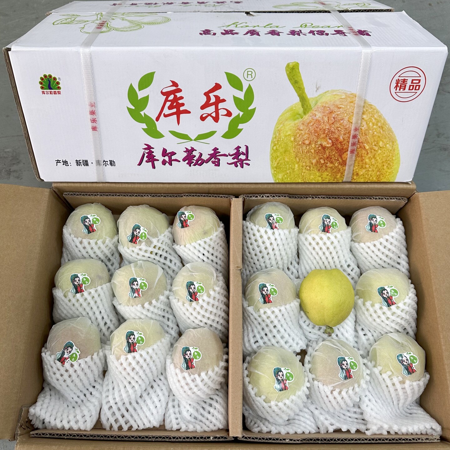 现货新疆库尔勒香梨11斤原箱礼盒装脆甜多汁新鲜水果生梨库勒包邮