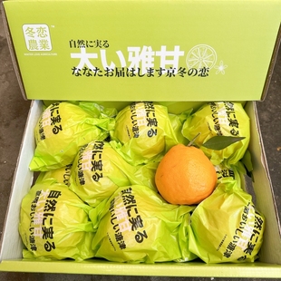甜丫头大雅柑春见粑粑柑6.5斤礼盒装味美多汁大新鲜四川爆浆包邮