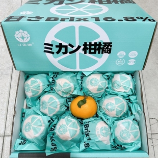 新货寸金地春见粑粑柑6.5斤礼盒装纯甜多汁大果柑橘四川新鲜 包邮