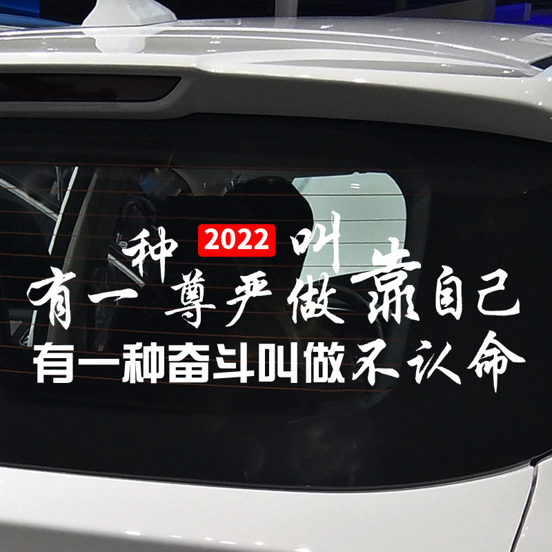 魂速 有一种尊严叫做靠自己 励志创意网红趣味文字全车贴