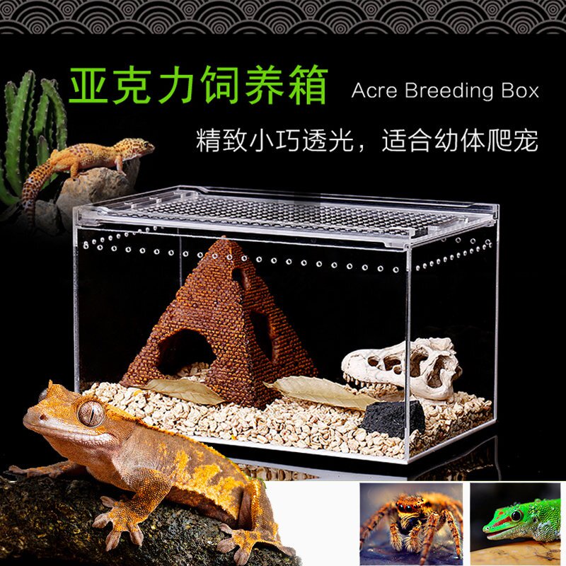 爬虫宠物箱透明亚克力蜘蛛守宫角蛙甲虫宠物蛇造景爬宠蝾螈饲养盒