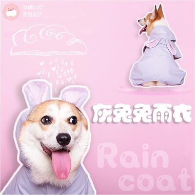 柯基狗狗雨衣防水四脚全包腊肠泰迪雪纳瑞银狐比熊雪纳瑞小鹿犬