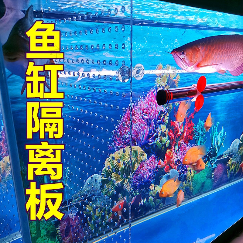 鱼缸隔板分离板亚克力透明挡板盖板小网格鱼缸隔离盒隔断水族箱