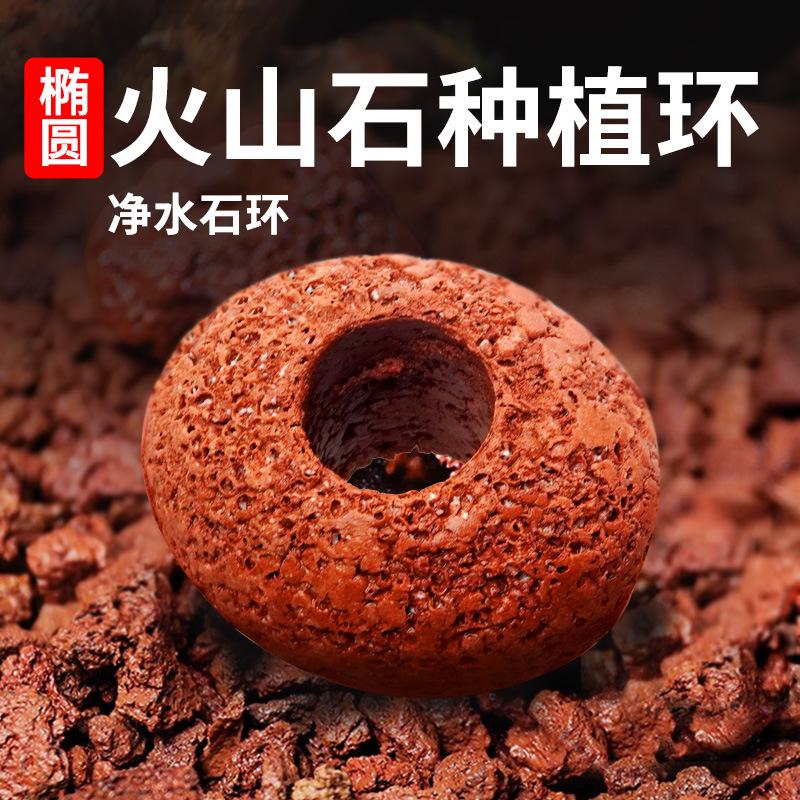 椭圆火山石水草固定底座种植环定植打孔火山石沉底环底座定植环