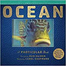 现货 英文原版 Ocean: A Photicular Book 海洋 3D立体 会动的书 光与影3D立体视觉儿童书 原版进口童书  精装