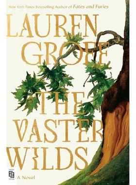 现货 广袤的荒野 荒野求生的故事 流行小说 Lauren Groff 劳伦·格罗夫  英文原版 The Vaster Wilds