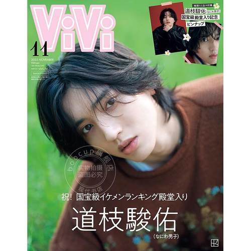 进口日文 道枝駿佑封面 ViVi 2025年11月号特別版 国宝級イケメンランキング殿堂入り記念 付贴纸和海报