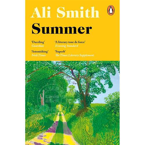 现货 夏 阿莉·史密斯季节四部曲 Ali Smith 英文原版 Summer