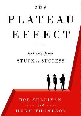 现货 The Plateau Effect